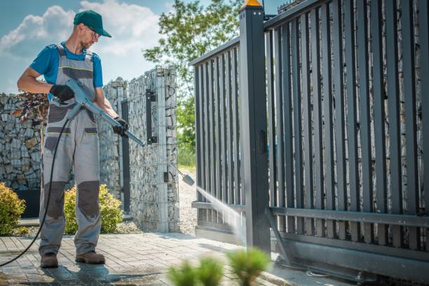 Best Driveway Pressure Washing  in Harvey, IL