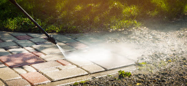 Best Graffiti Removal  in Harvey, IL